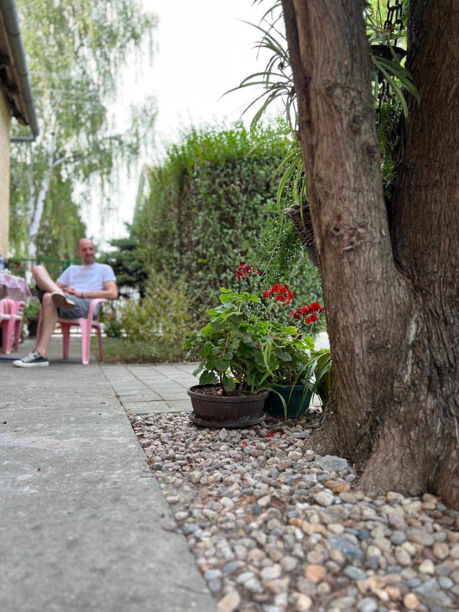 Bezdan Guesthouse Ngoại thất bức ảnh